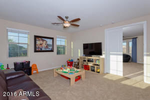 3717 E Matthew Dr, Phoenix, AZ 85050 photo 14