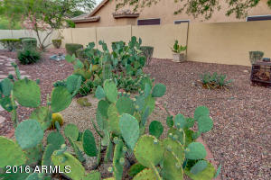 2003 E Granite View Dr, Phoenix, AZ 85048 photo 85