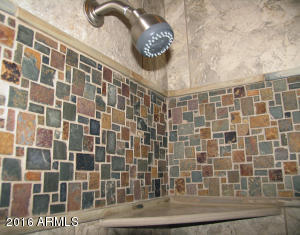 249 E Sesame Cir, Tempe, AZ 85283 photo 20