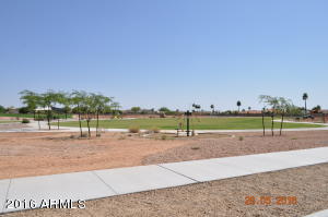 8521 E Desert Ln, Mesa, AZ 85209 photo 47