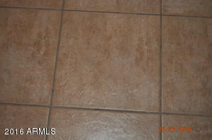 8521 E Desert Ln, Mesa, AZ 85209 photo 31