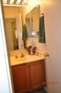 8521 E Desert Ln, Mesa, AZ 85209 photo 28