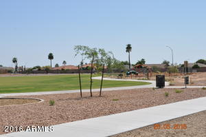 8521 E Desert Ln, Mesa, AZ 85209 photo 42