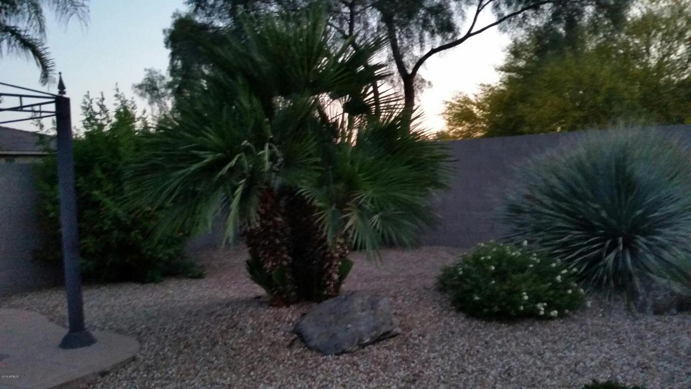 2520 S Birch St, Gilbert, AZ 85295 photo 33