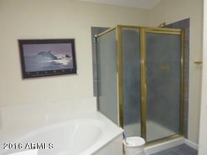 15850 S 33rd Pl, Phoenix, AZ 85048 photo 9
