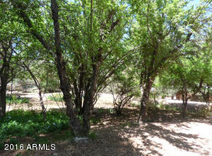 3928 N Hunt Dr, Pine, AZ 85544 photo 13