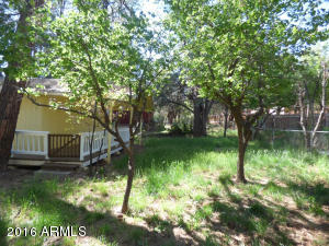 3928 N Hunt Dr, Pine, AZ 85544 photo 14