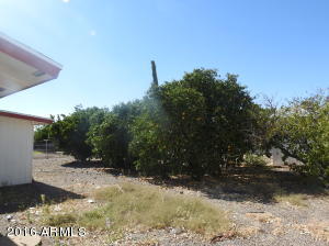 5620 E Dallas St, Mesa, AZ 85205 photo 36