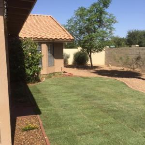 1250 W Iris Dr, Gilbert, AZ 85233 photo 18