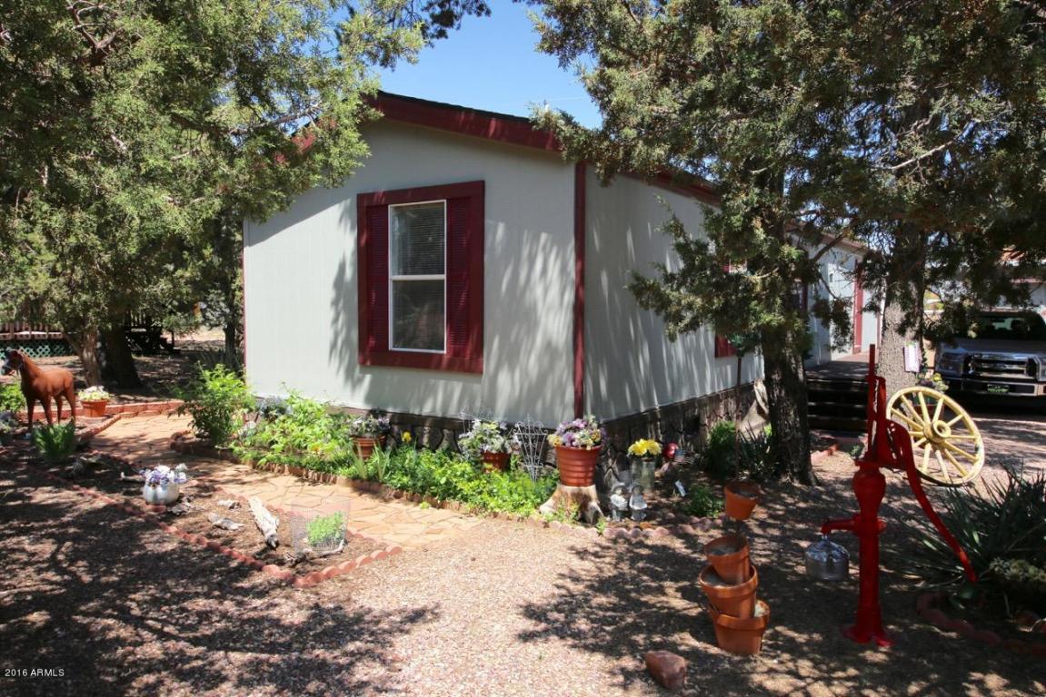 3569 Deer Track Trl, Overgaard, AZ 85933 photo 1