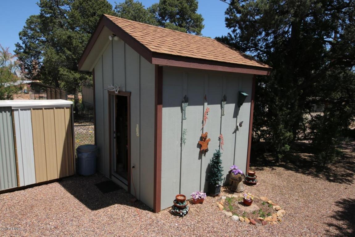 3569 Deer Track Trl, Overgaard, AZ 85933 photo 31