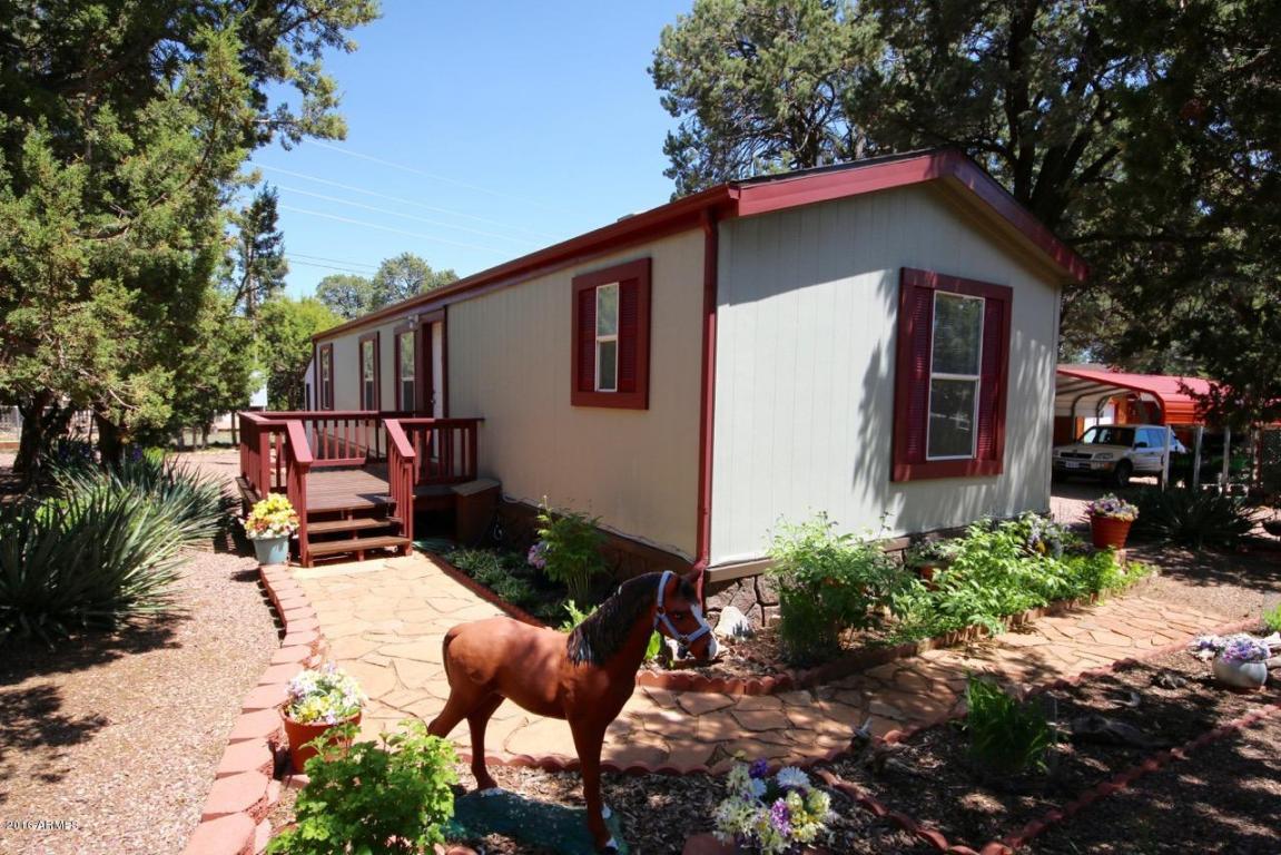 3569 Deer Track Trl, Overgaard, AZ 85933 photo 18