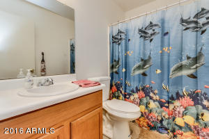 10946 E Wier Ave, Mesa, AZ 85208 photo 34