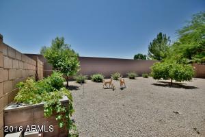3701 E Phelps St, Gilbert, AZ 85295 photo 27