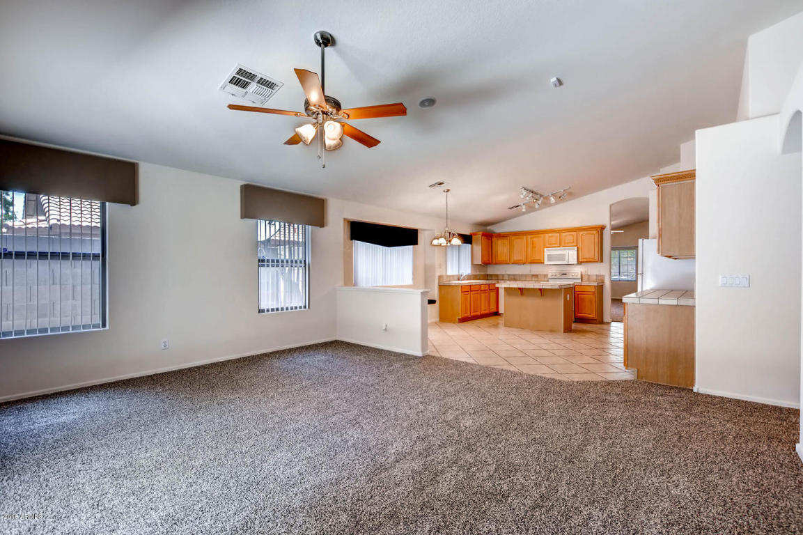 1635 E Desert Ln, Phoenix, AZ 85042 photo 14