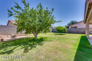 3716 E Waterman St, Gilbert, AZ 85297 photo 6