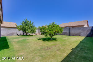 3716 E Waterman St, Gilbert, AZ 85297 photo 11