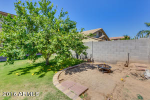 3716 E Waterman St, Gilbert, AZ 85297 photo 9