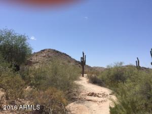 4659 E Piedmont Rd, Phoenix, AZ 85044 photo 19