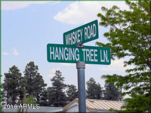 2272 Hanging Tree Ln, Overgaard, AZ 85933 photo 8