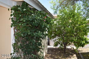5735 E Mcdowell Rd #101, Mesa, AZ 85215 photo 6