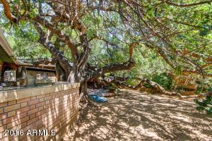 3727 E Piccadilly Rd, Phoenix, AZ 85018 photo 35