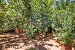 3727 E Piccadilly Rd, Phoenix, AZ 85018 photo 37