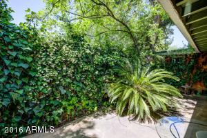 3727 E Piccadilly Rd, Phoenix, AZ 85018 photo 41