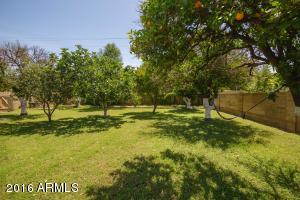 1955 E Hackamore St, Mesa, AZ 85203 photo 42