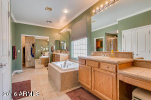 6493 S Forest Ct, Gilbert, AZ 85298 photo 40