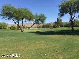 7025 S Golfside Ln, Phoenix, AZ 85042 photo 3