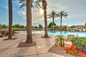 2947 E Shannon St, Gilbert, AZ 85295 photo 65