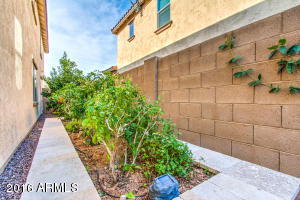 2947 E Shannon St, Gilbert, AZ 85295 photo 44
