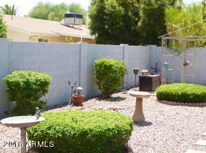 4317 E Catalina Cir, Mesa, AZ 85206 photo 33
