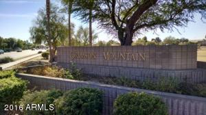 4535 E Desert Wind Dr, Phoenix, AZ 85044 photo 16