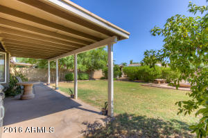 2250 E Carol Ave, Mesa, AZ 85204 photo 23
