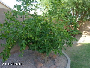 9364 E Kilarea Ave, Mesa, AZ 85209 photo 47