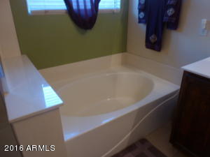 9364 E Kilarea Ave, Mesa, AZ 85209 photo 15