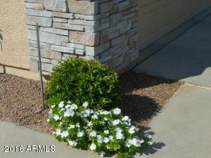 9364 E Kilarea Ave, Mesa, AZ 85209 photo 4