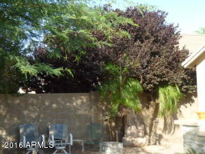 9364 E Kilarea Ave, Mesa, AZ 85209 photo 46