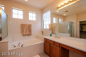 9740 E Lompoc Ave, Mesa, AZ 85209 photo 16