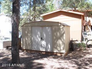 3474 Black Bear Run, Overgaard, AZ 85933 photo 20