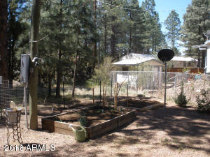 3474 Black Bear Run, Overgaard, AZ 85933 photo 21
