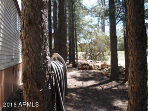 3474 Black Bear Run, Overgaard, AZ 85933 photo 23