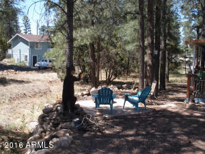 3474 Black Bear Run, Overgaard, AZ 85933 photo 16