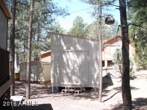 3474 Black Bear Run, Overgaard, AZ 85933 photo 19