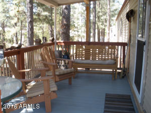 3474 Black Bear Run, Overgaard, AZ 85933 photo 14