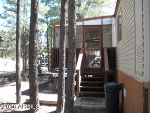 3474 Black Bear Run, Overgaard, AZ 85933 photo 24