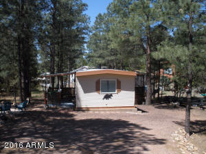 3474 Black Bear Run, Overgaard, AZ 85933 photo 15