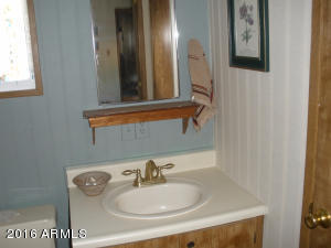 3474 Black Bear Run, Overgaard, AZ 85933 photo 3